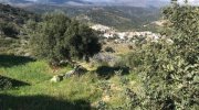 Kalo Chorio MIT VIDEO: Kreta, Kalo Chorio: Großes ländliches Baugrundstück mit Meerblick zu verkaufen Grundstück kaufen